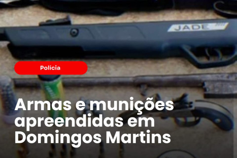 Armas e munições apreendidas em operação policial